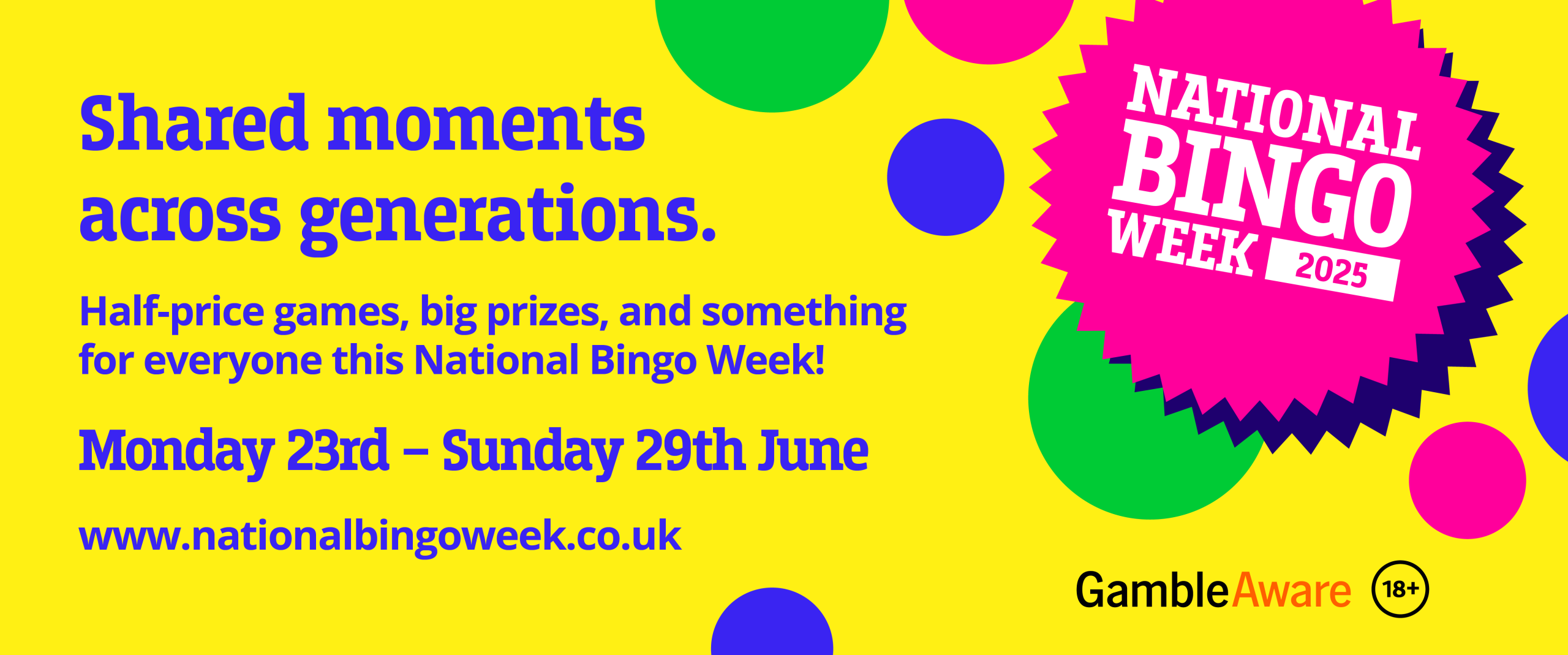 BINGO 2025 digital assets_1205x503px Web Banner 4