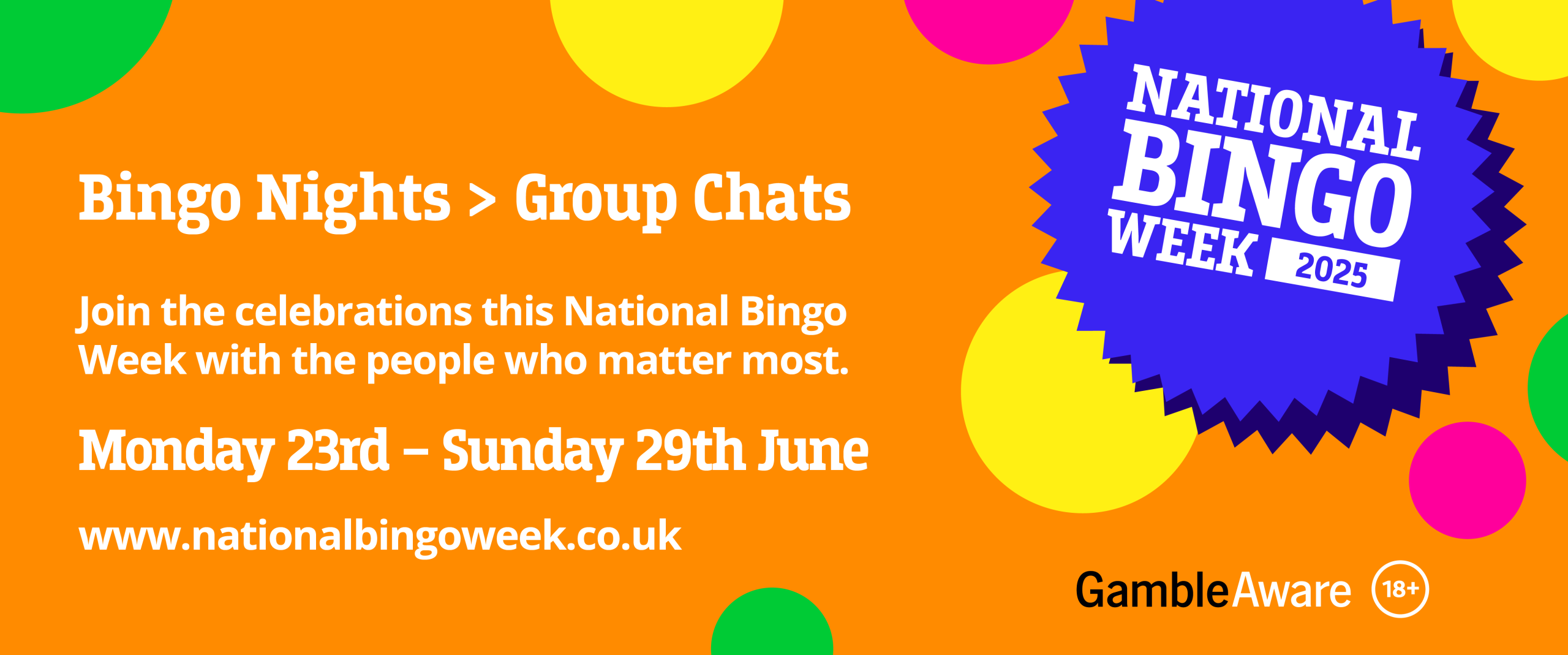 BINGO 2025 digital assets_1205x503px Web Banner 5